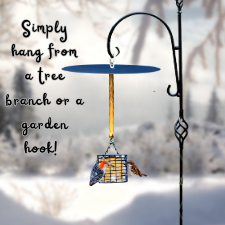 squirrel free suet station birds only with garden hook for hanging method