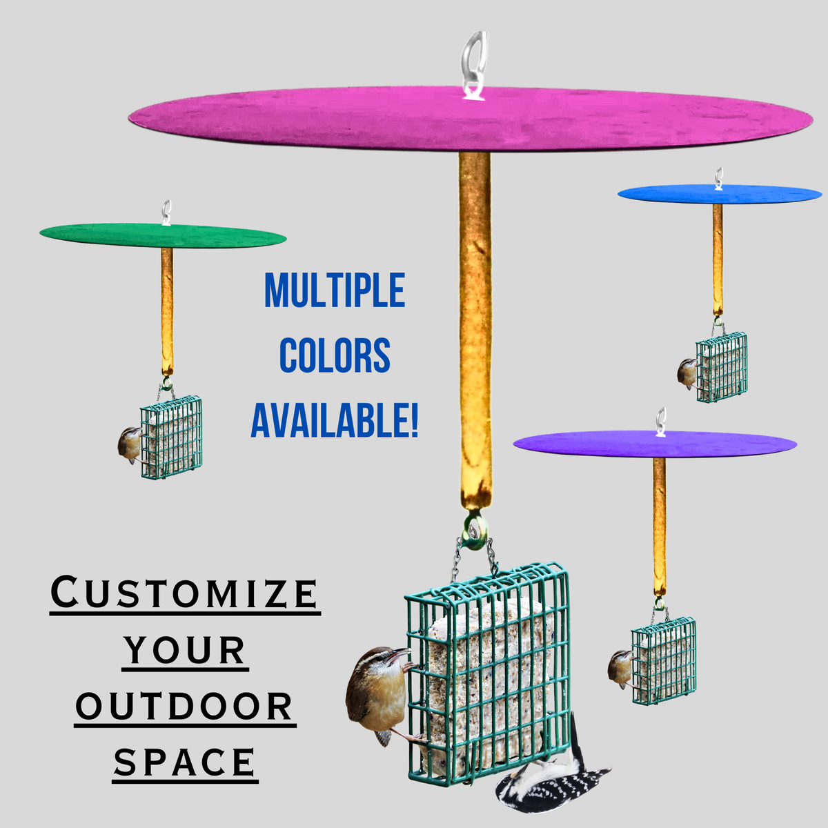 Squirrel Free Suet Feeder