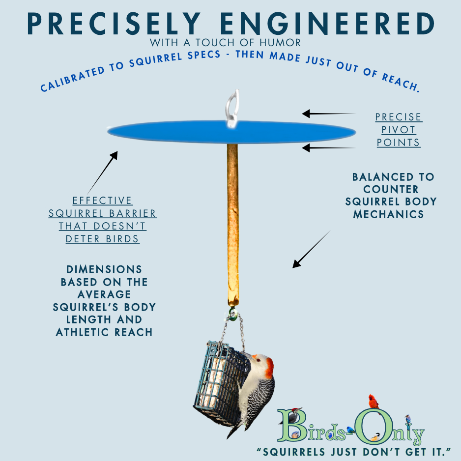 Squirrel Free Suet Feeder