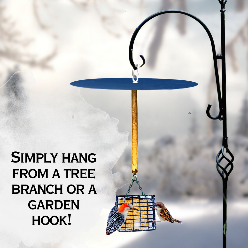 Squirrel Free Suet Feeder