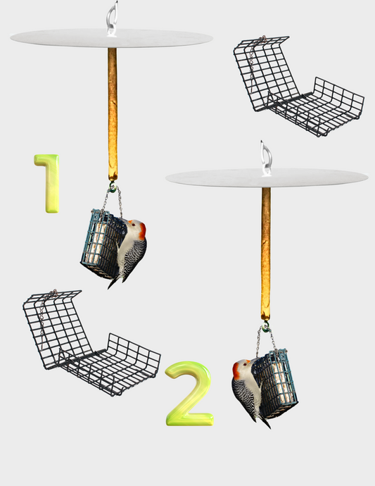 DELUXE Birds-Only Squirrel Free Suet Station and extra suet cake cages