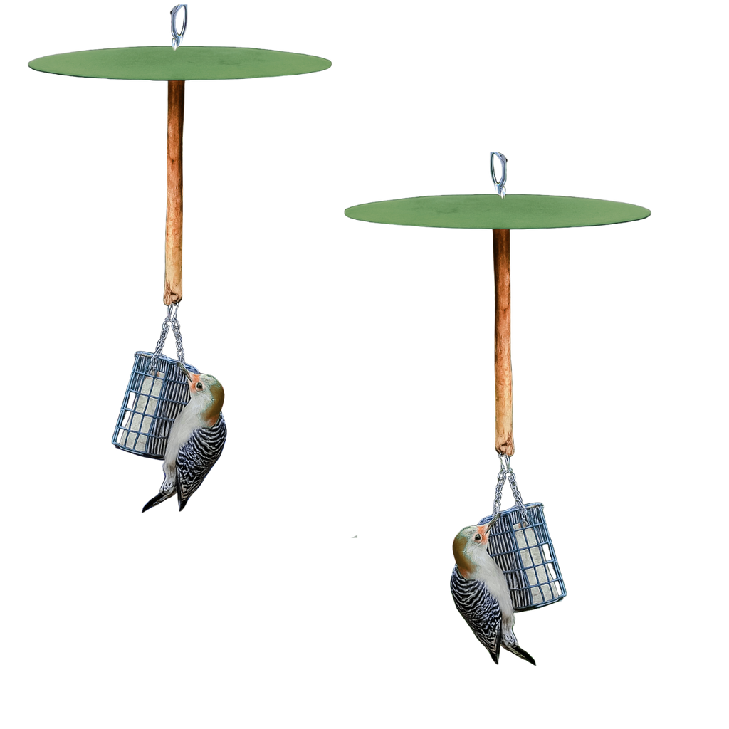 DELUXE Birds-Only Squirrel Free Suet Station and extra suet cake cages