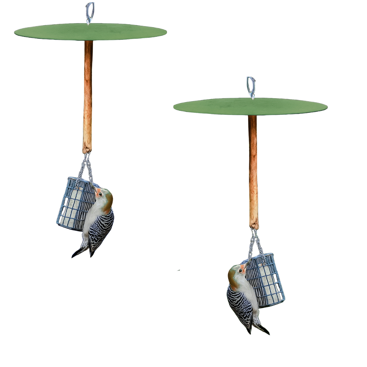 DELUXE Birds-Only Squirrel Free Suet Station and extra suet cake cages