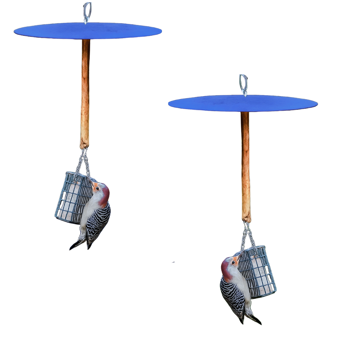 DELUXE Birds-Only Squirrel Free Suet Station and extra suet cake cages