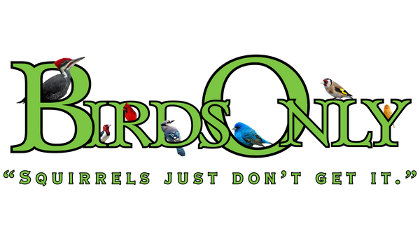 Birds-Only
