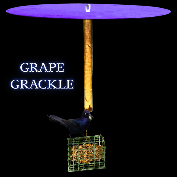 Squirrel Free Suet Feeder