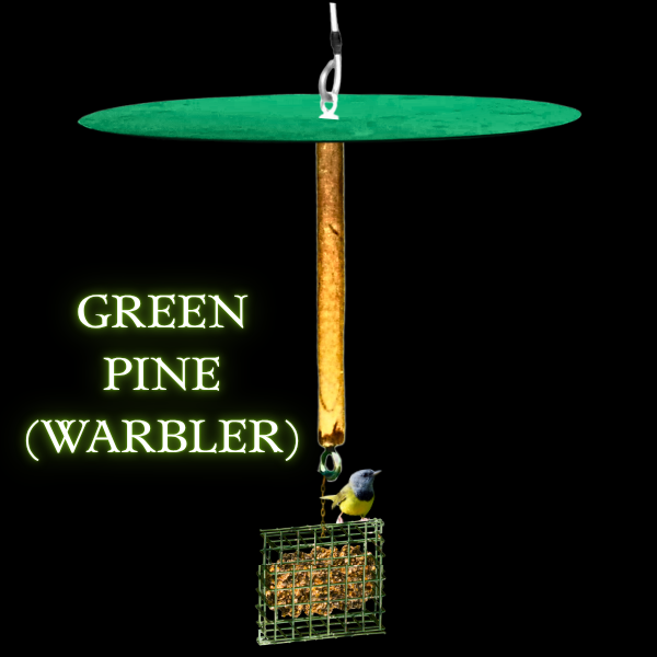 Squirrel Free Suet Feeder