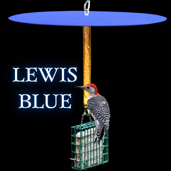 Squirrel Free Suet Feeder